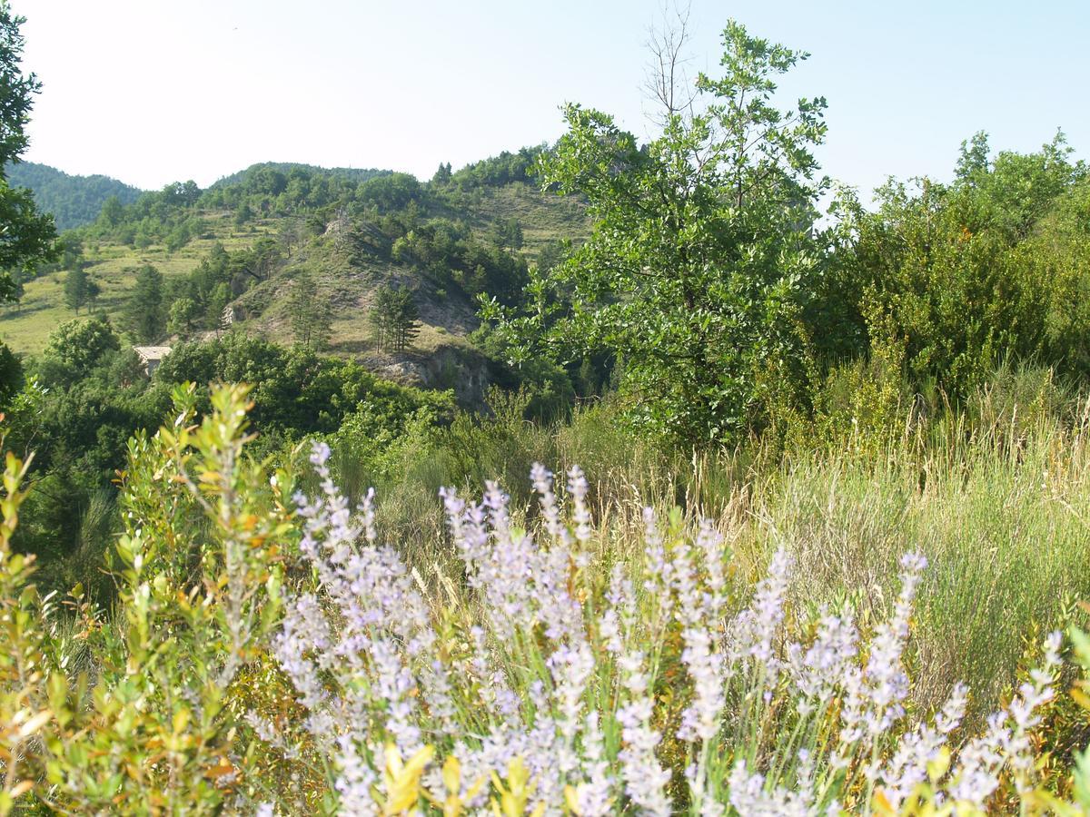 Camping Panoramique Du Verdon Castellane Eksteriør bilde