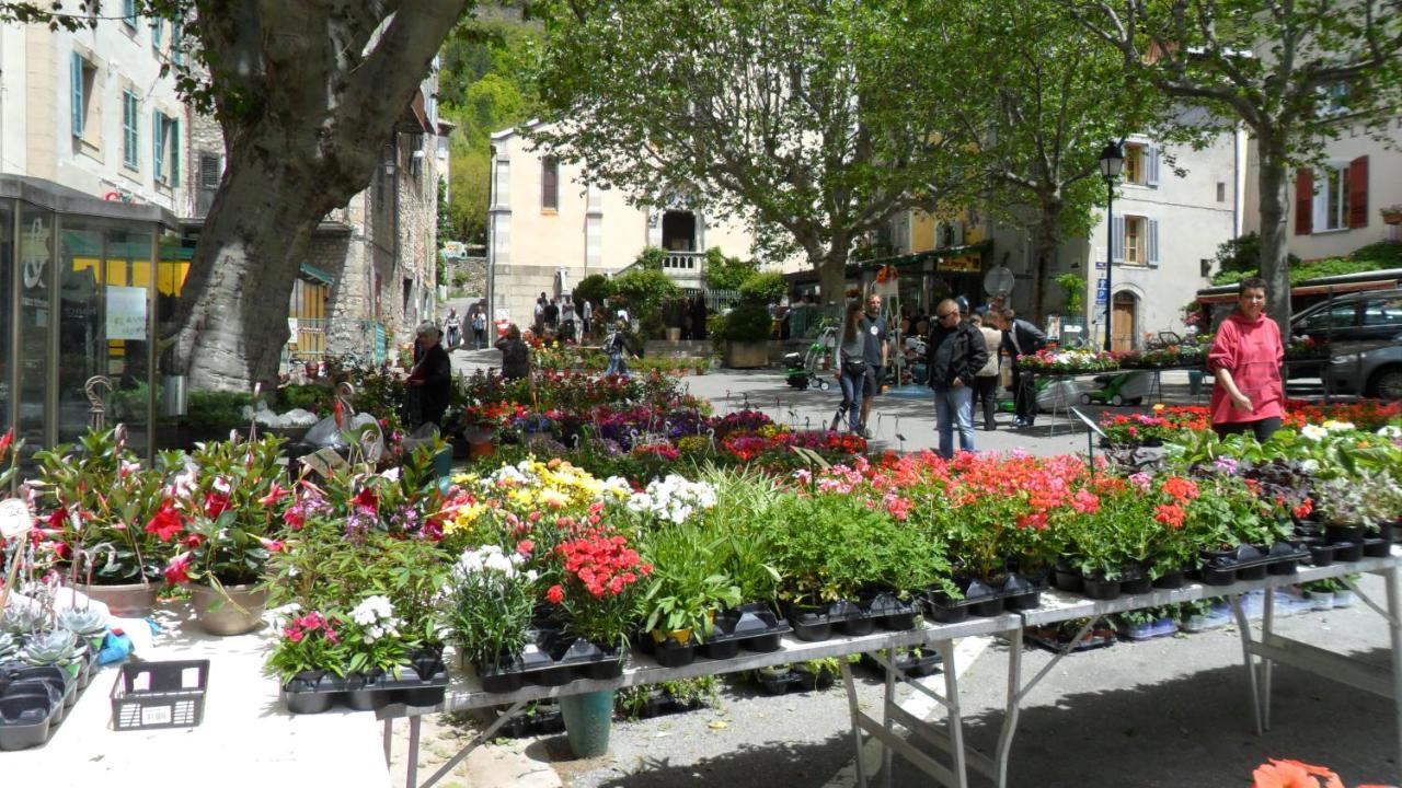 Camping Panoramique Du Verdon Castellane Eksteriør bilde
